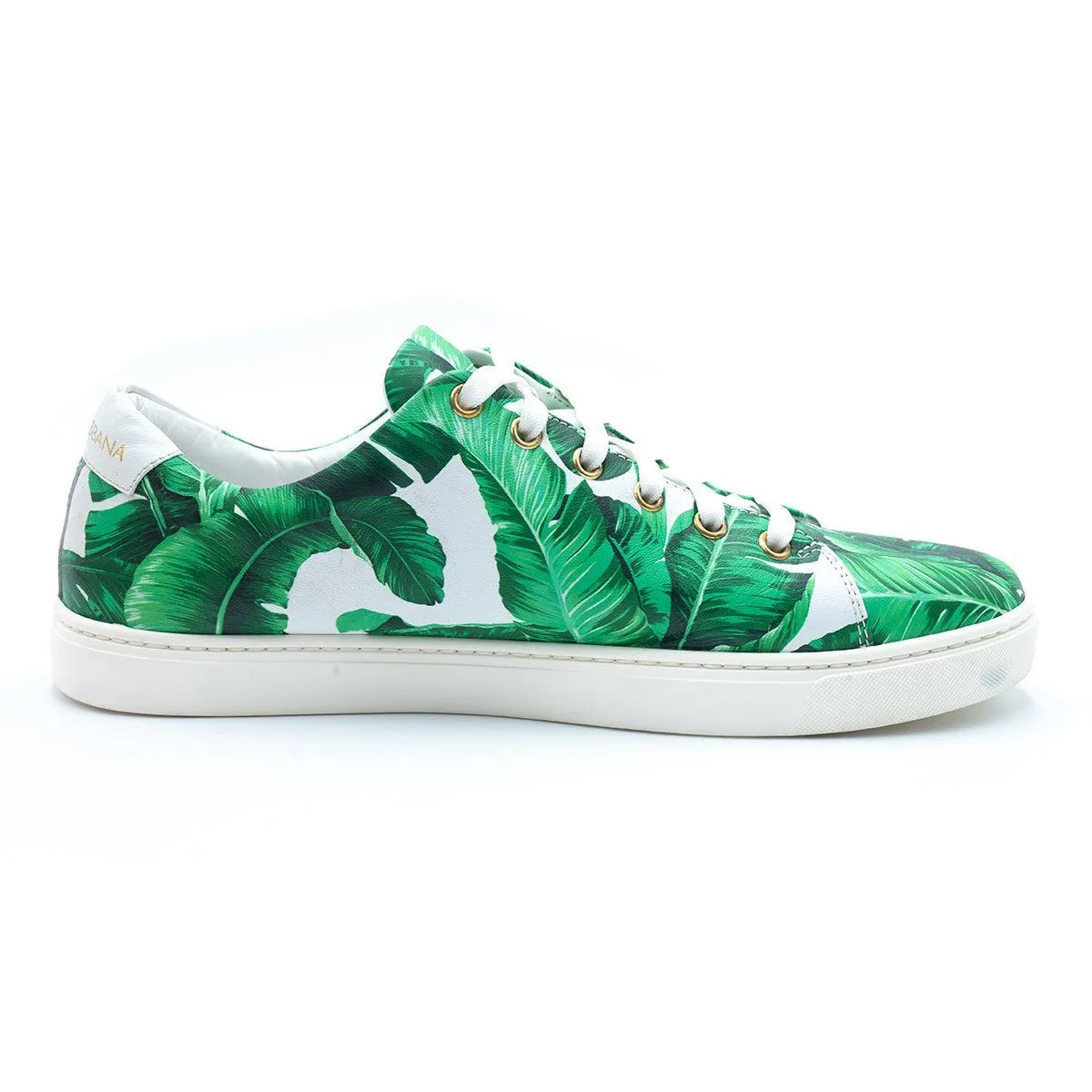 Dolce & Gabbana Low-Top Sneakers Leather Green Colour For Women